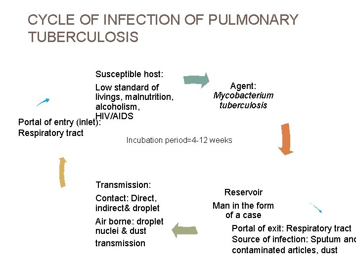 CYCLE OF INFECTION OF PULMONARY TUBERCULOSIS Susceptible host: Low standard of livings, malnutrition, alcoholism,