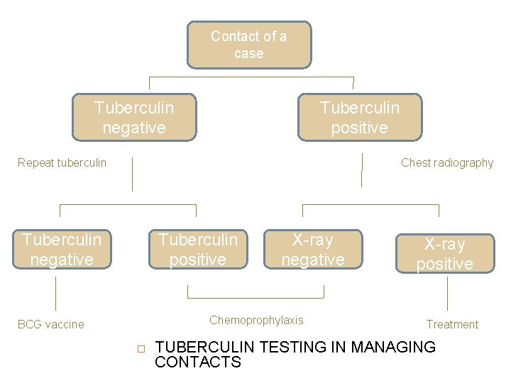 Contact of a case Tuberculin negative Tuberculin positive Repeat tuberculin Chest radiography Tuberculin negative
