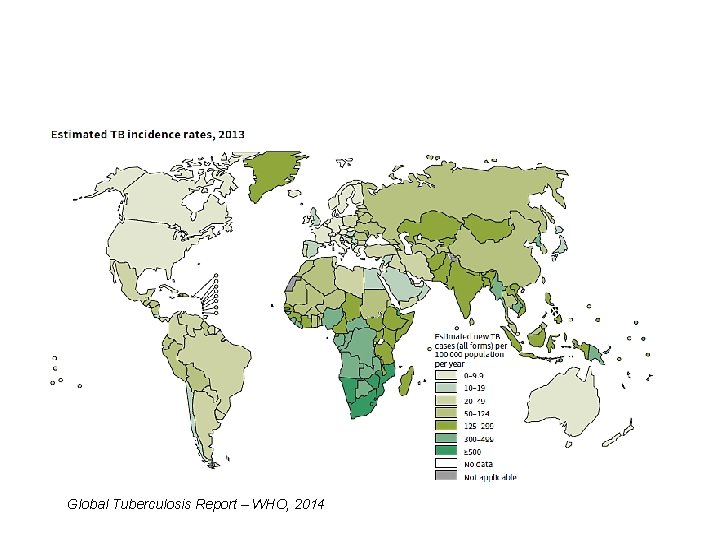 Global Tuberculosis Report – WHO, 2014 