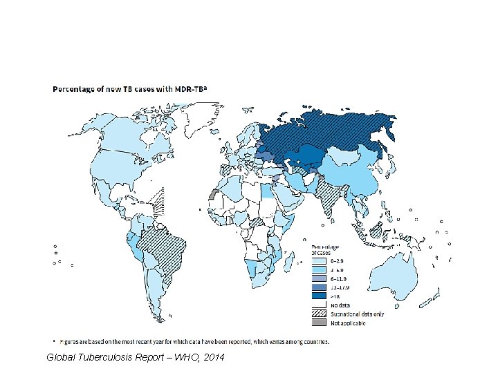 Global Tuberculosis Report – WHO, 2014 