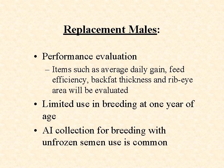 Replacement Males: • Performance evaluation – Items such as average daily gain, feed efficiency,