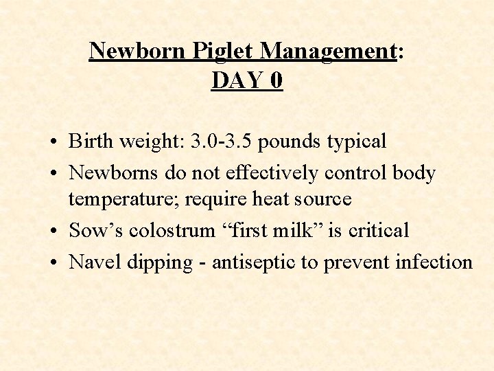 Newborn Piglet Management: DAY 0 • Birth weight: 3. 0 -3. 5 pounds typical