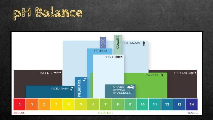 p. H Balance 