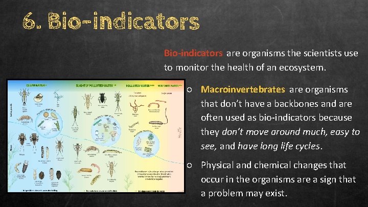6. Bio-indicators are organisms the scientists use to monitor the health of an ecosystem.
