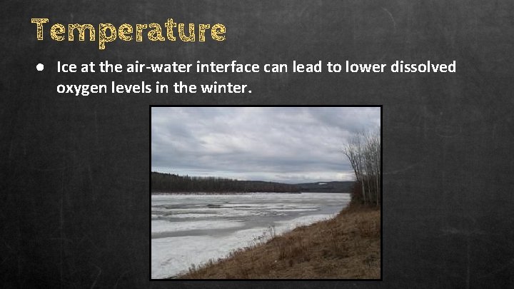 Temperature ● Ice at the air-water interface can lead to lower dissolved oxygen levels