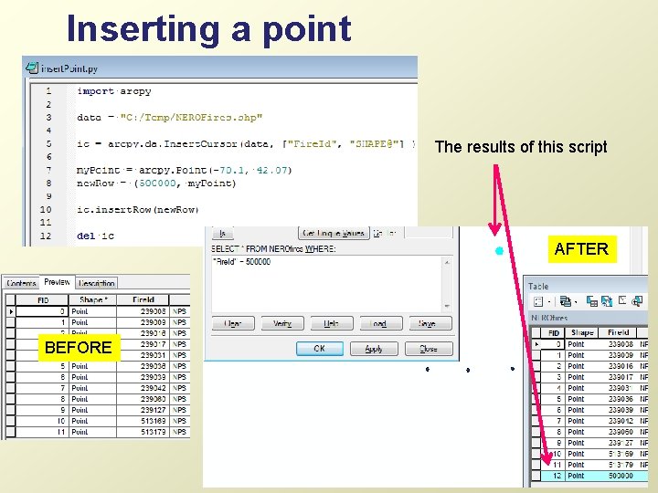 Inserting a point The results of this script AFTER BEFORE 28 