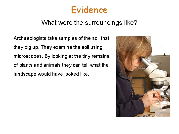 Evidence What were the surroundings like? Archaeologists take samples of the soil that they