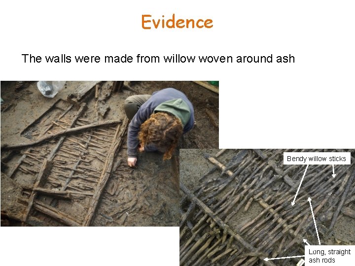 Evidence The walls were made from willow woven around ash Bendy willow sticks Long,