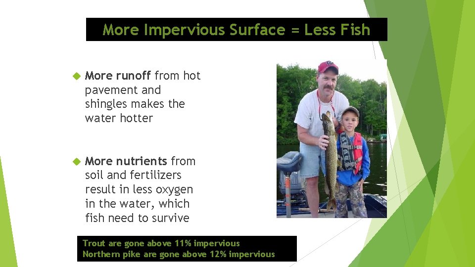 More Impervious Surface = Less Fish More runoff from hot pavement and shingles makes