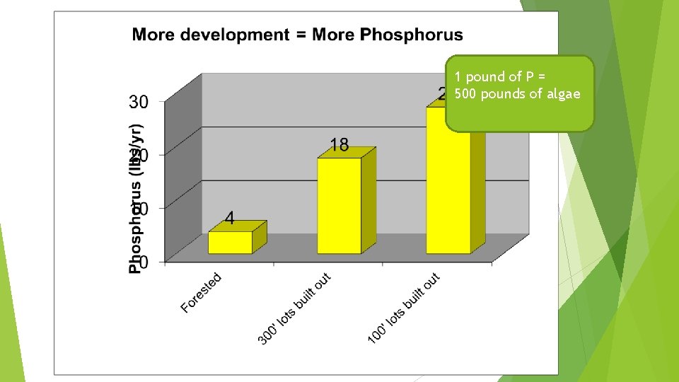 1 pound of P = 500 pounds of algae 