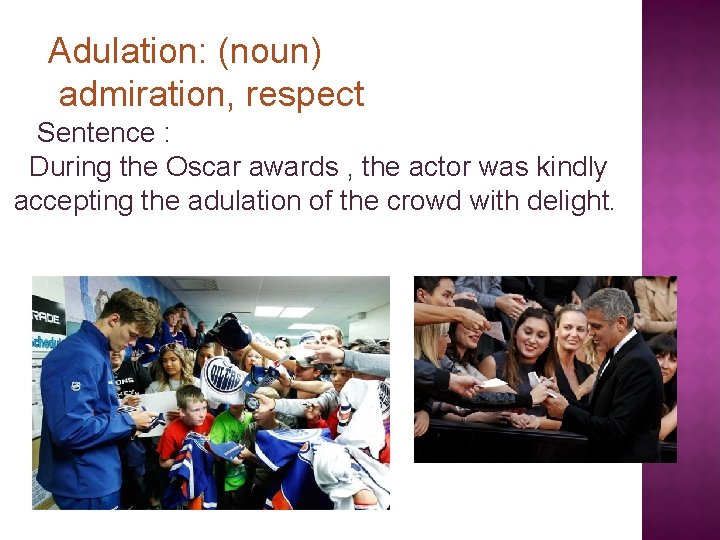 Adulation: (noun) admiration, respect Sentence : During the Oscar awards , the actor was