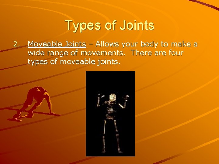 Types of Joints 2. Moveable Joints – Allows your body to make a wide
