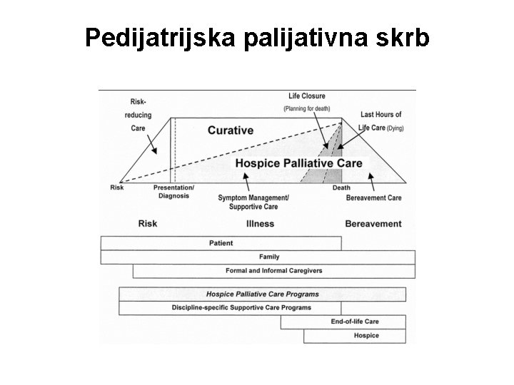 Pedijatrijska palijativna skrb 