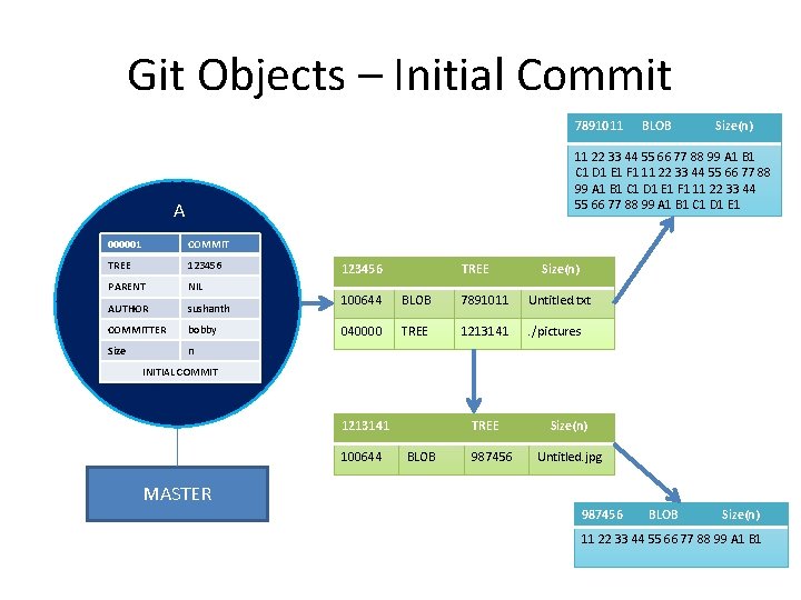 Git Objects – Initial Commit 7891011 BLOB Size(n) 11 22 33 44 55 66