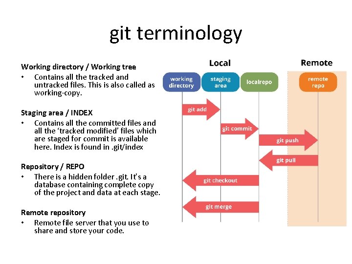 git terminology Working directory / Working tree • Contains all the tracked and untracked