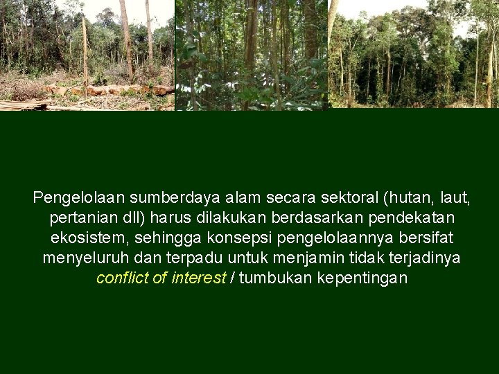 Pengelolaan sumberdaya alam secara sektoral (hutan, laut, pertanian dll) harus dilakukan berdasarkan pendekatan ekosistem,