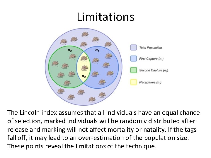 Limitations The Lincoln index assumes that all individuals have an equal chance of selection,