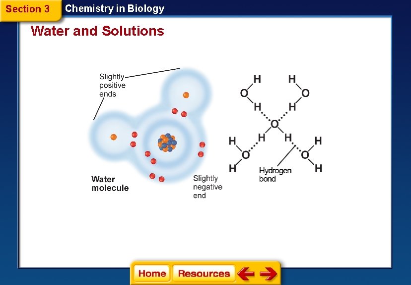 Section 3 Chemistry in Biology Water and Solutions 