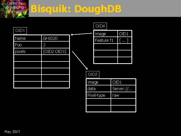 Center for Bioimaging Informatics Bisquik: Dough. DB OID 4 OID 1 Name GH 1020