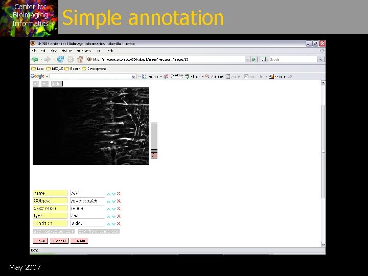 Center for Bioimaging Informatics May 2007 Simple annotation 