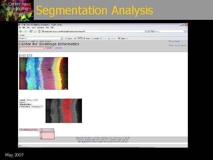 Center for Bioimaging Informatics May 2007 Segmentation Analysis 