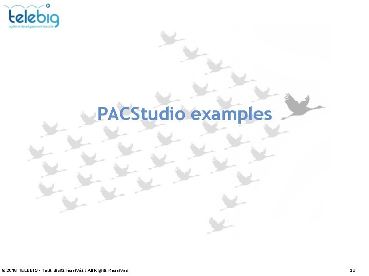 PACStudio examples © 2018 TELEBIG - Tous droits réservés / All Rights Reserved. 13