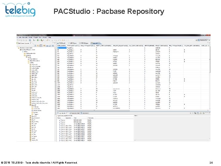 PACStudio : Pacbase Repository © 2018 TELEBIG - Tous droits réservés / All Rights