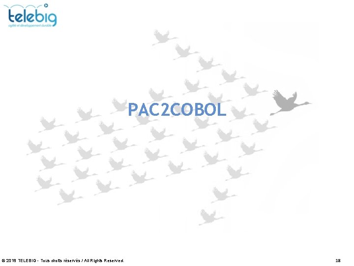 PAC 2 COBOL © 2018 TELEBIG - Tous droits réservés / All Rights Reserved.
