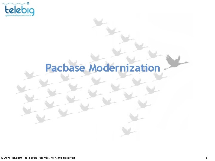 Pacbase Modernization © 2018 TELEBIG - Tous droits réservés / All Rights Reserved. 3