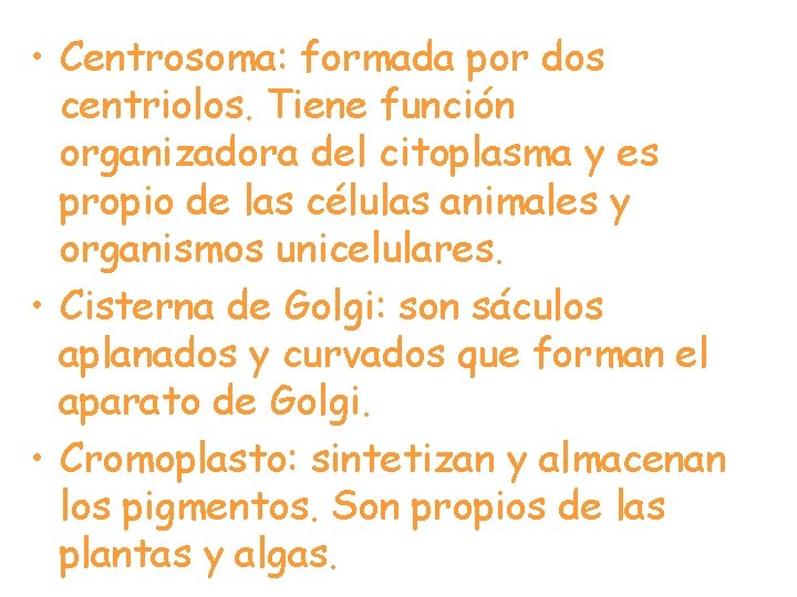  • Centrosoma: formada por dos centriolos. Tiene función organizadora del citoplasma y es