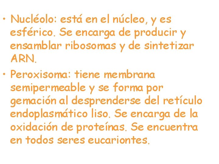  • Nucléolo: está en el núcleo, y es esférico. Se encarga de producir