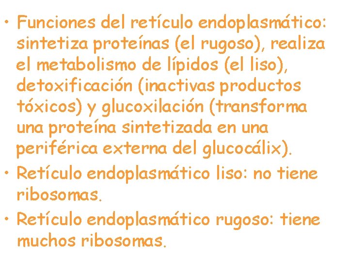  • Funciones del retículo endoplasmático: sintetiza proteínas (el rugoso), realiza el metabolismo de