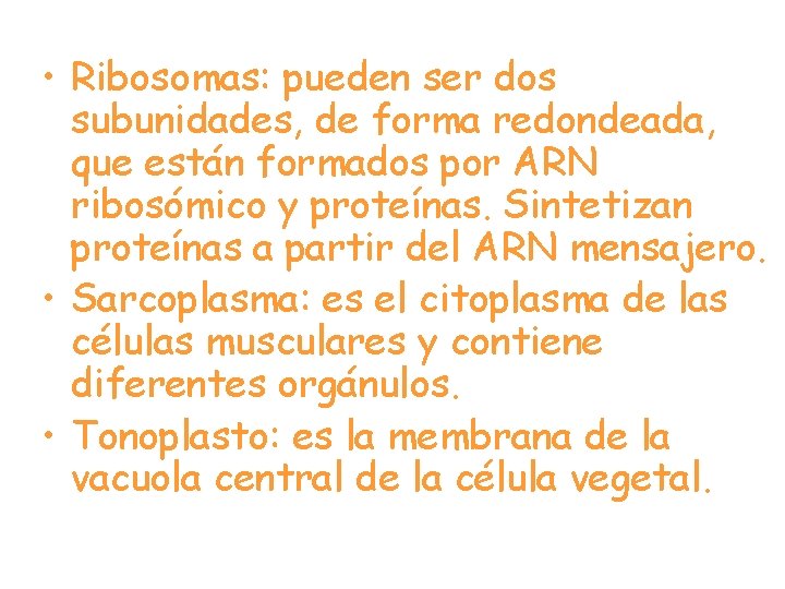  • Ribosomas: pueden ser dos subunidades, de forma redondeada, que están formados por