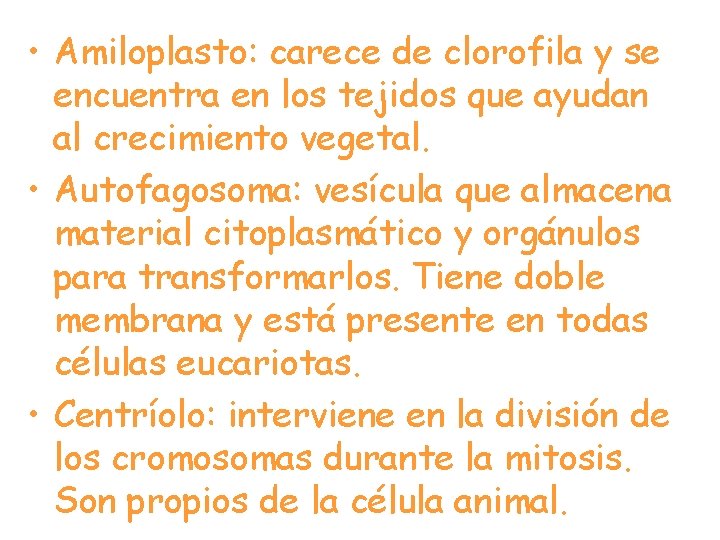  • Amiloplasto: carece de clorofila y se encuentra en los tejidos que ayudan