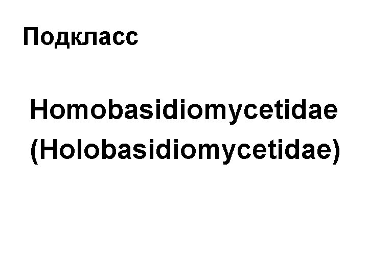 Подкласс Homobasidiomycetidae (Holobasidiomycetidae) 