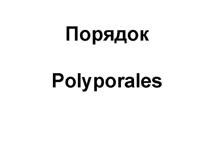 Порядок Polyporales 