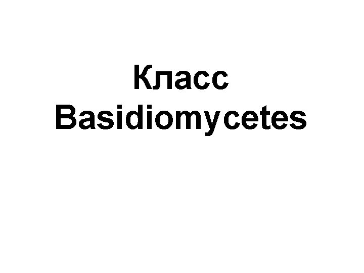 Класс Basidiomycetes 