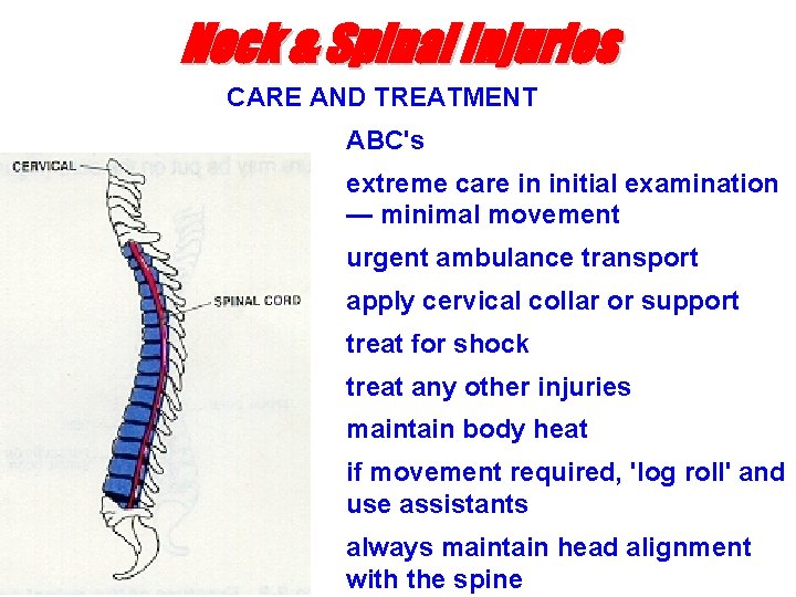 Neck & Spinal Injuries CARE AND TREATMENT ABC's extreme care in initial examination —