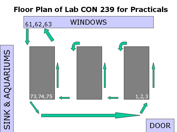 Floor Plan of Lab CON 239 for Practicals SINK & AQUARIUMS 61, 62, 63