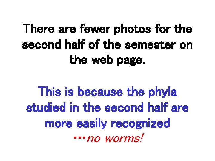 There are fewer photos for the second half of the semester on the web