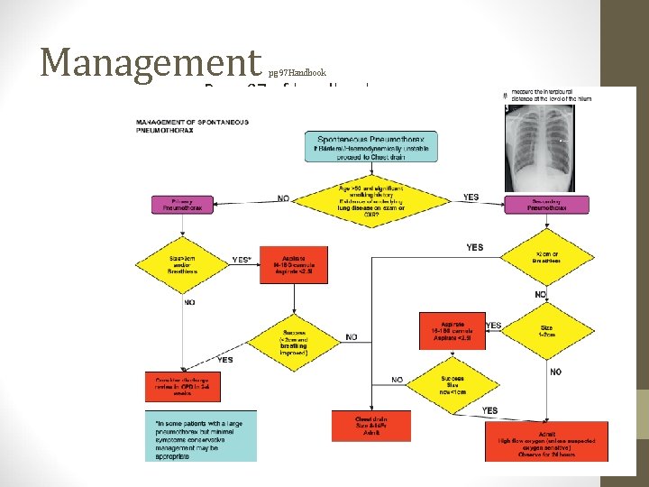 Management pg 97 Handbook • Page 97 of handbook 