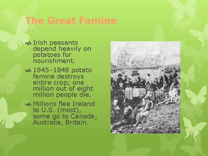 The Great Famine Irish peasants depend heavily on potatoes for nourishment. 1845– 1848 potato