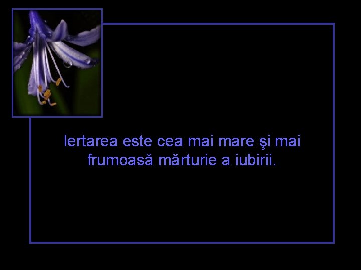 Iertarea este cea mai mare şi mai frumoasă mărturie a iubirii. 