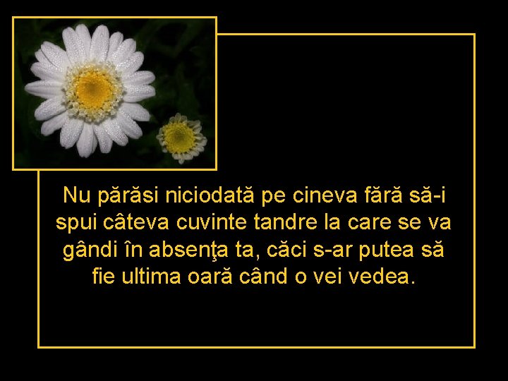 Nu părăsi niciodată pe cineva fără să-i spui câteva cuvinte tandre la care se