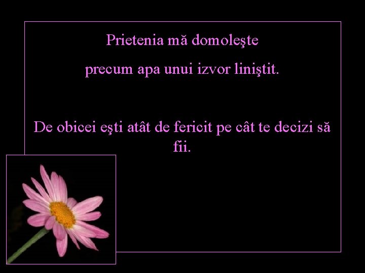 Prietenia mă domoleşte precum apa unui izvor liniştit. De obicei eşti atât de fericit