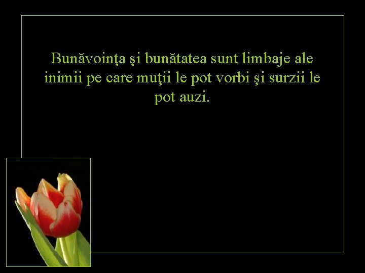 Bunăvoinţa şi bunătatea sunt limbaje ale inimii pe care muţii le pot vorbi şi