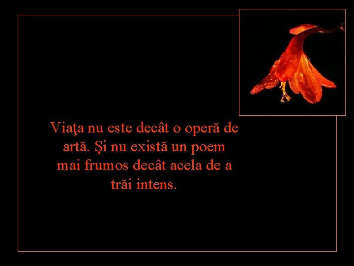 Viaţa nu este decât o operă de artă. Şi nu există un poem mai