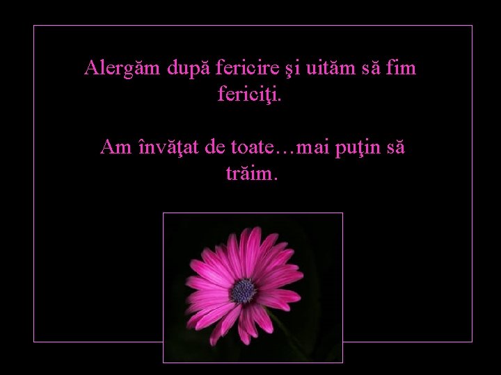 Alergăm după fericire şi uităm să fim fericiţi. Am învăţat de toate…mai puţin să