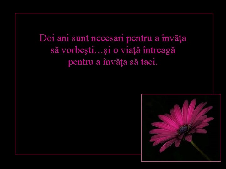 Doi ani sunt necesari pentru a învăţa să vorbeşti…şi o viaţă întreagă pentru a