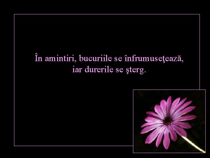 În amintiri, bucuriile se înfrumuseţează, iar durerile se şterg. 